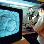 6 Cara Mengatasi Kemandulan Menggunakan Teknologi Canggih