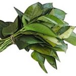 Ramuan Tradisional Untuk Menghentikan Kehamilan