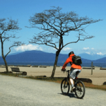 Hati-Hati, Aktif Bersepeda Bisa Sebabkan Impotensi