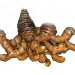 Obat Kuat Tradisional Khusus Laki-Laki