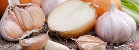 Bawang merah dan bawang putih mengatasi ejakulasi dini