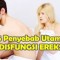 5 Penyebab Utama Disfungsi Ereksi Pada Pria